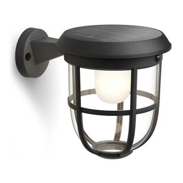 Philips - LED Solar wall light with sensor RADII LED/1,3W/3,7V 3000K IP44