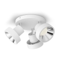 Philips - LED Spotlight 3xLED/4,5W/230V