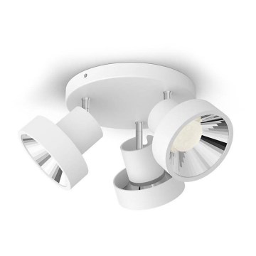 Philips - LED Spotlight 3xLED/4,5W/230V