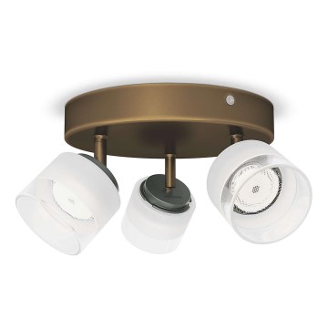 Philips - LED spotlight 3xLED/4W/230V