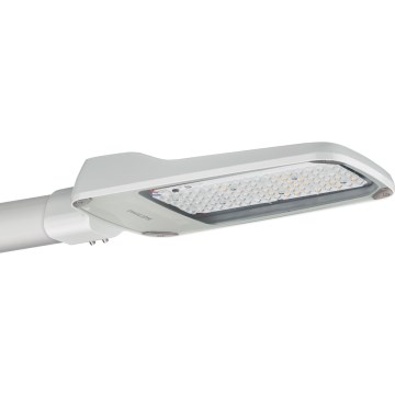 Philips - LED Street lamp CORELINE MALAGA LED/47W/230V 4000K IP65