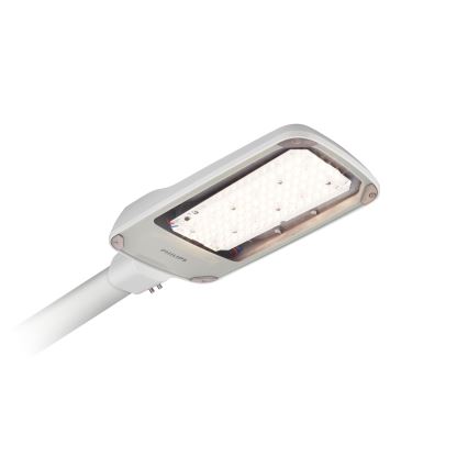 Philips - LED Street lamp CORELINE MALAGA LED/47W/230V 4000K IP65
