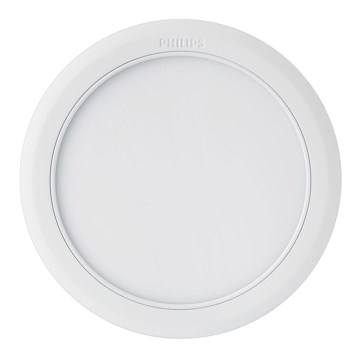 Philips - LED suspended ceiling light 1xLED/21W/230V