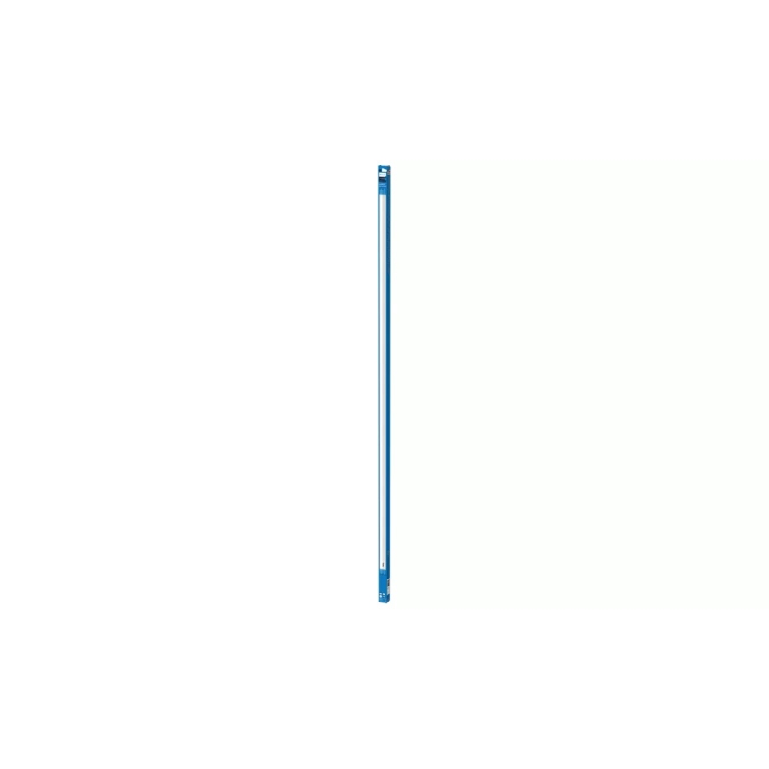 Philips LED T8 Fluorescent Tube G13/31.5W/230V 3000K 150 cm