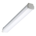 Philips - LED Technical linear luminaire LEDINAIRE LED/15W/230V 60 cm IP66