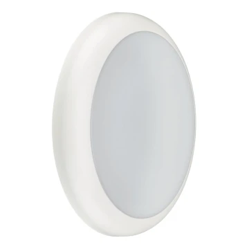 Philips - LED Technical Luminaire LED/11/17W/230V 3000/4000/5700K dia. 30 cm IP65 White
