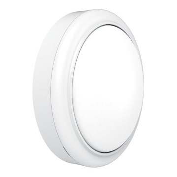 Philips - LED Wall light PROJECTLINE LED/15W/230V IP65
