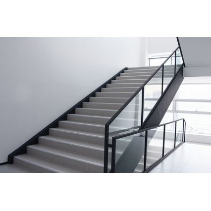 Philips - LED Wall light PROJECTLINE LED/15W/230V IP65