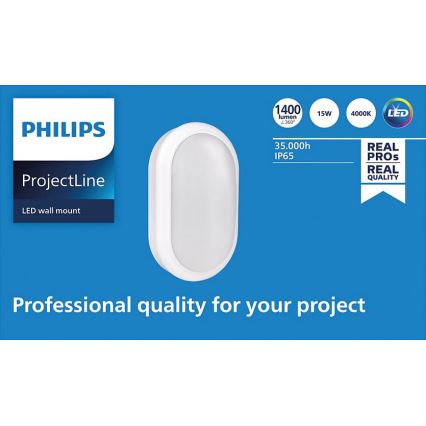 Philips - LED Wall light PROJECTLINE LED/15W/230V IP65
