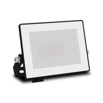 Philips - LOIS LED Floodlight LED/10W/230V IP65 5000K