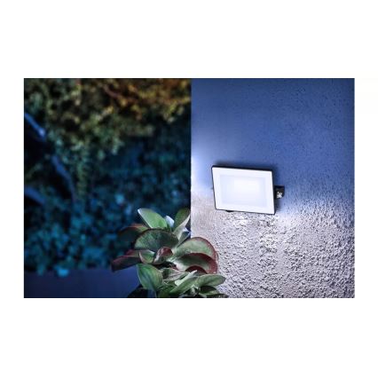 Philips - LOIS LED Floodlight LED/10W/230V IP65 5000K