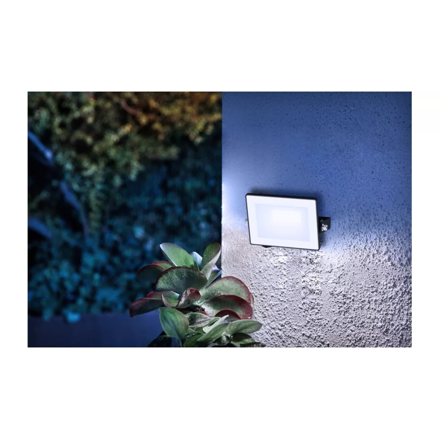 Philips - LOIS LED Floodlight LED/10W/230V IP65 5000K