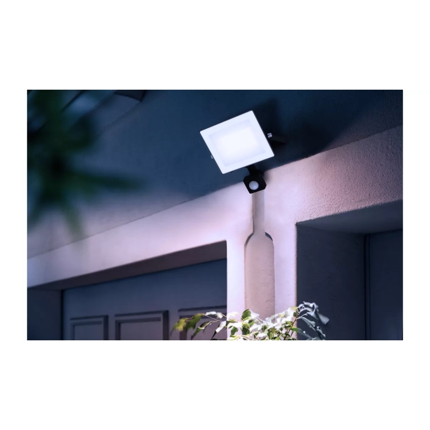 Philips - LOIS LED Floodlight with Sensor LED/30W/230V IP65 5000K