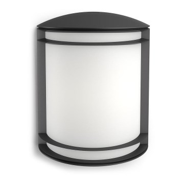 Philips - Outdoor wall light 1xLED/6W/230V IP44
