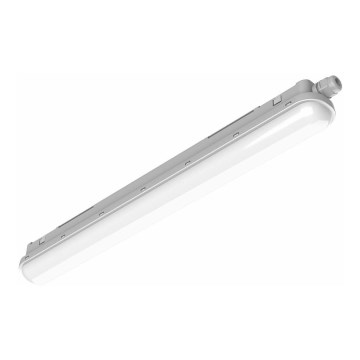 Philips Pila - LED Technical Batten Luminaire LED/60W/230V 150 cm IP65
