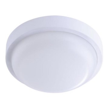 Philips Pila - LED Technical Luminaire, 12 W, 230 V, Ø 17 cm, IP54
