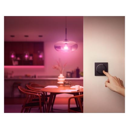Philips - Remote control with a switch Hue TAP 1xCR2032 black
