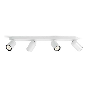 Philips - Spotlight 4xGU10/5,5W/230V