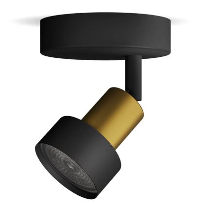 Philips - Spotlight CONDUIT 1xGU10/5W/230V black/brass