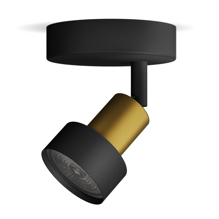 Philips - Spotlight CONDUIT 1xGU10/5W/230V black/brass
