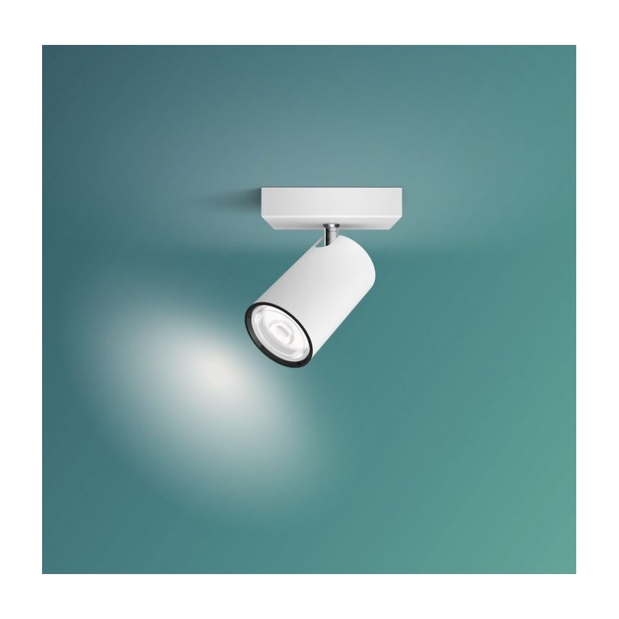 Philips - Spotlight KOSIPO 1xGU10/5,5W/230V white