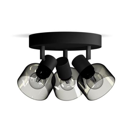 Philips - Spotlight SLEET 3xE14/25W/230V