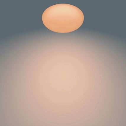 Philips - Dimmable LED Ceiling Light 23W/230V with Remote Control