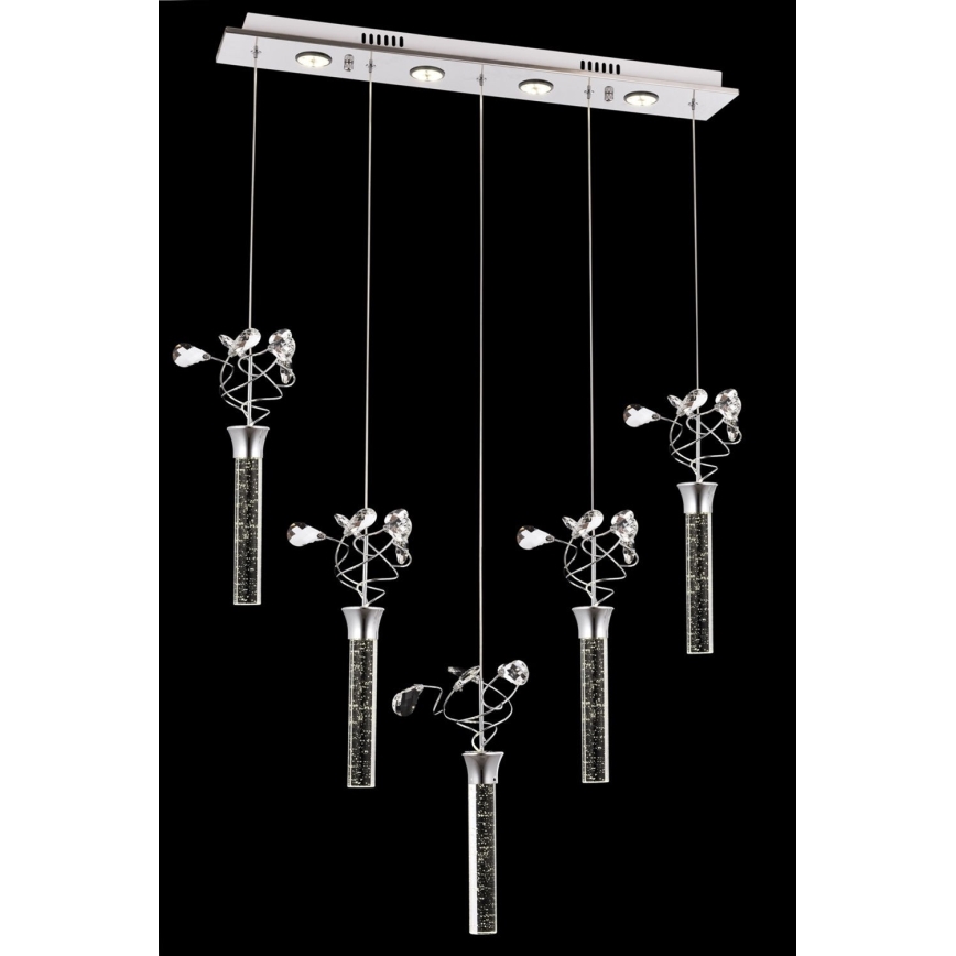 PIGEON LED Cable Chandelier 5xLED/6W/230V 6500K Polished Chrome