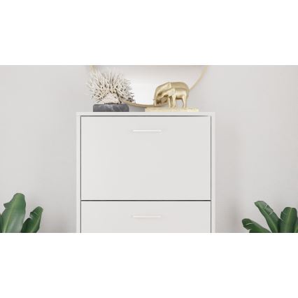 PIGO Shoe Cabinet 60 x 109 x 25 cm, White