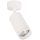 PIPE spotlight 1xGU10/10W/230V white