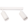 PIPE spotlight 2xGU10/10W/230V white