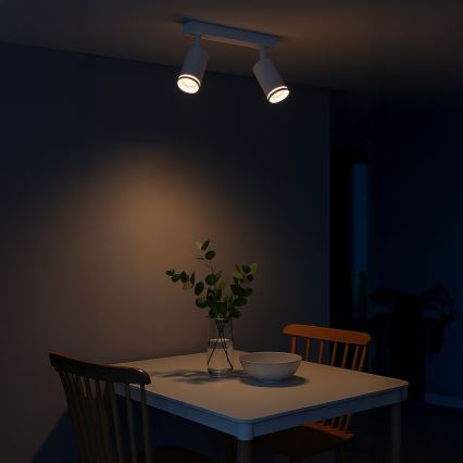 PIPE spotlight 2xGU10/10W/230V white