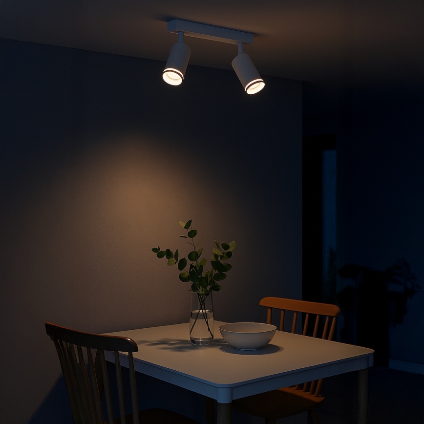 PIPE spotlight 2xGU10/10W/230V white