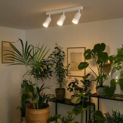 PIPE spotlight 3xGU10/10W/230V white