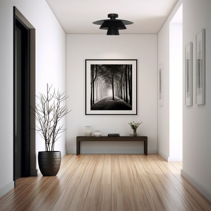 PLATO Ceiling Light 1xE27/15W/230V Ø 32 cm, Black