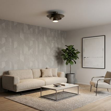 PLATO Ceiling Light 1xE27/15W/230V, Ø 38 cm, Anthracite