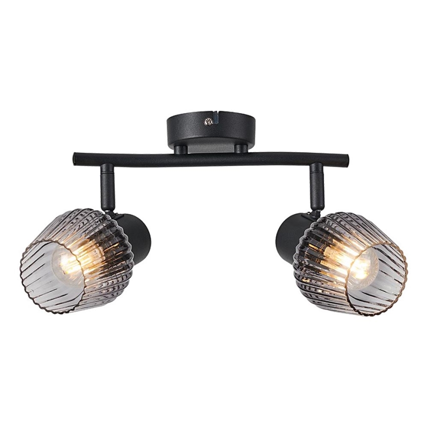 Prezent 14101 - Spotlight OASIS 2xE27/60W/230V black/smoky