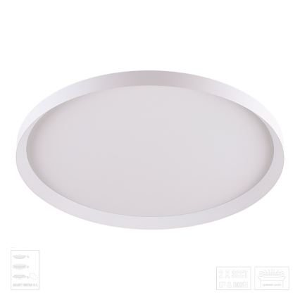 Prezent 17310 - ADRA LED Ceiling Light LED/42W/230V + LED/13W 3000/4000/6000K Ø 48.5 cm white