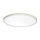 Prezent 27304 - LED Bathroom ceiling light CORDIA LED/12W/230V 3000/6000K IP54 white