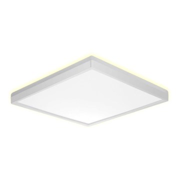 Prezent 27309 - LED Bathroom ceiling light CORDIA SQ LED/24W/230V 3000/6000K IP54 white