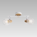 Prezent 27504 - Ceiling spotlight TAMETA 2xE14/40W/230V