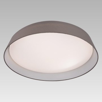 Prezent 45130 - LED Ceiling Light VASCO LED/24W/230V