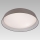 Prezent 45130 - LED Ceiling Light VASCO LED/24W/230V