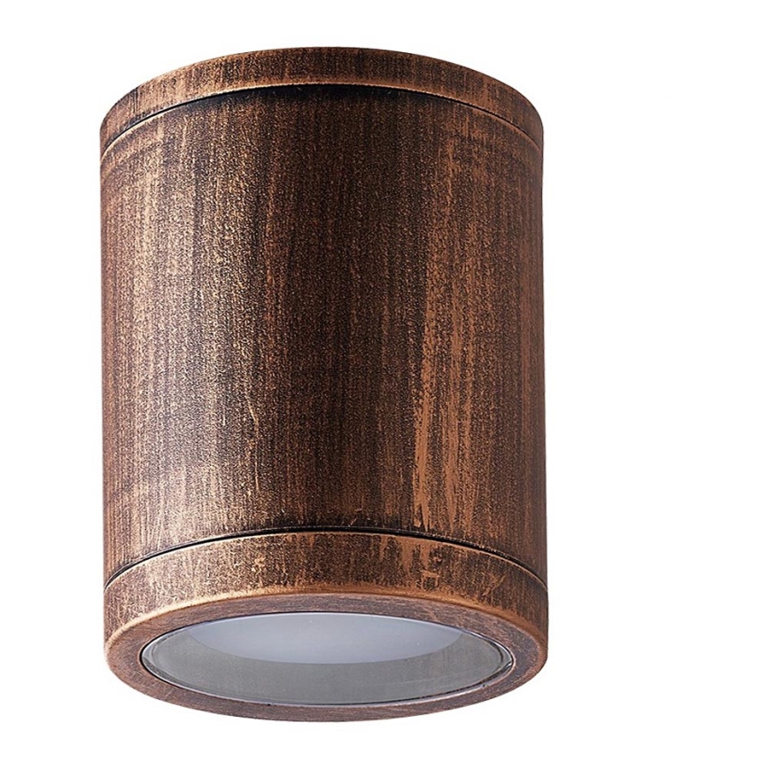 Prezent 48333 - Outdoor spotlight MOPTI 1xE27/12W/230V bronze IP54