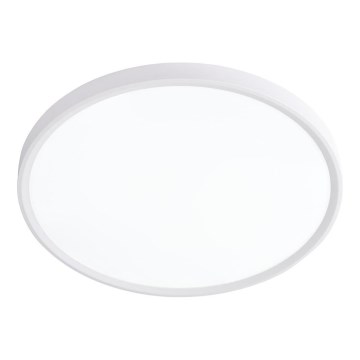 Prezent 70320 - LED Dimmable ceiling light TRIMO LED/18W/230V 3000-6000K d. 23 cm white