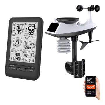 Professional weather station with LCD display 2xAA Wi-Fi Tuya