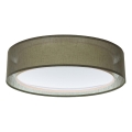 PURO Ceiling Light 2xE27/40W/230V Ø 50 cm Green