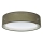 PURO Ceiling Light 2xE27/40W/230V Ø 50 cm Green