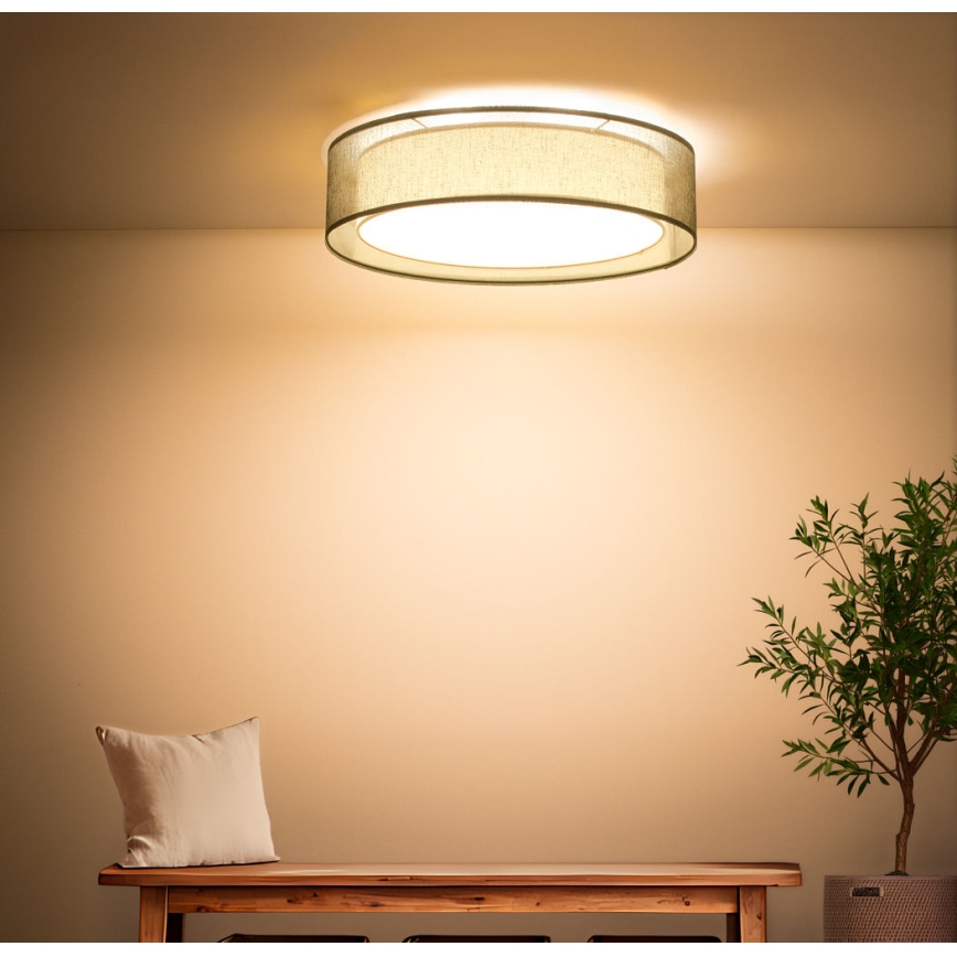 PURO Ceiling Light 2xE27/40W/230V Ø 50 cm Green