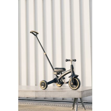 QPlay - Children's 3-in-1 Tricycle STAGER Black